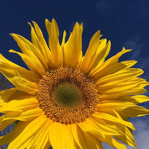 Meet your Posher, Lee